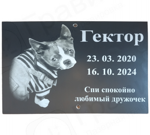 Табличка для собаки АКП 20х17 (Портрет + ФИО, горизонтально)